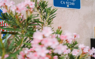 13-Pool-Signs-320x202